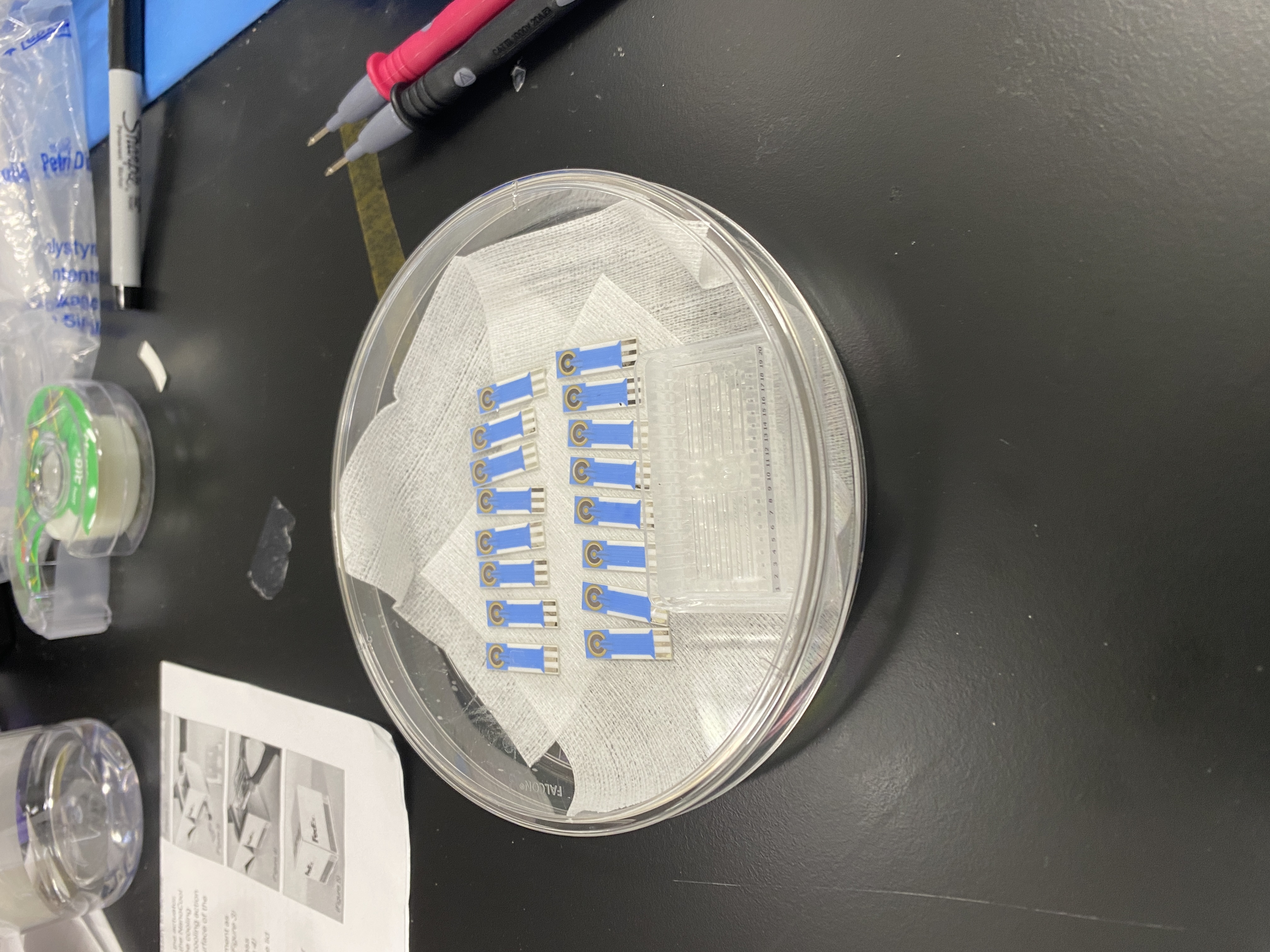 Clean BVT biosensor chips in a petri dish