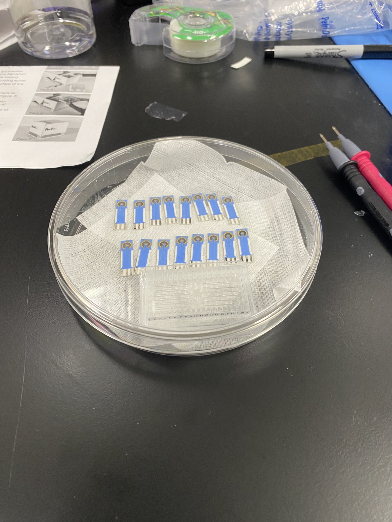 Row of clean biosensor chips